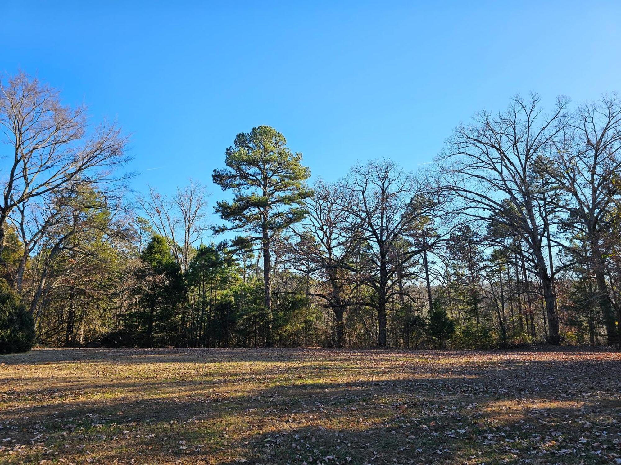 2 Min To Beaver Lakeking Bedfirepitjetted Tub Apartment *